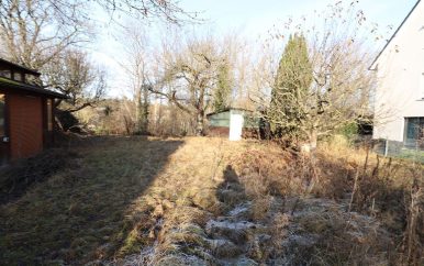 Hinter dem Altbestand Blick nach Norden