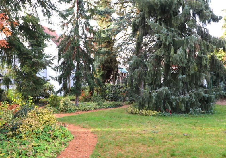 Privatsphäre im Garten