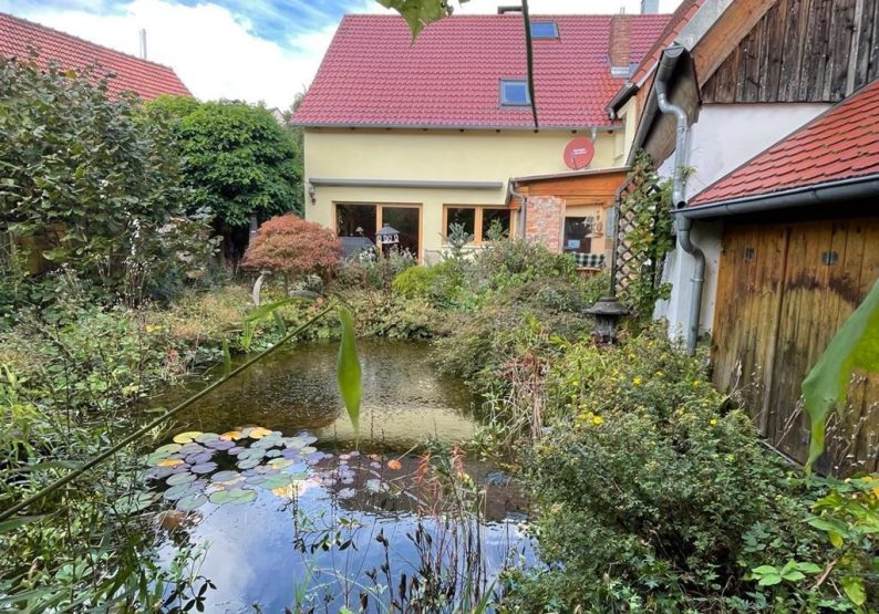 Blick auf den Gartenteich